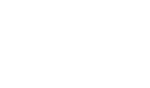 Skywings